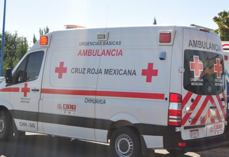 Perro le arranca la pierna