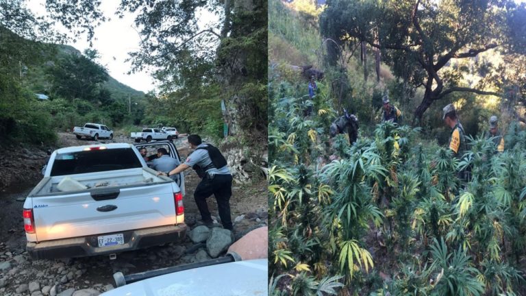 Le entran al toro en Guadalupe y Calvo